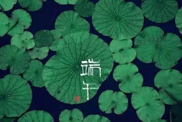 品味端午 傳承文明|滄州海固預祝您端午安康！